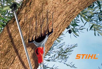 OFERTA OLIVAR STIHL 2018