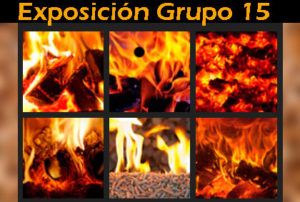 Exposición Estufas, Calderas y Chimeneas Grupo 15 2019-20